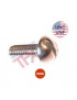 VIS AMERICAINE TH INOX A2
