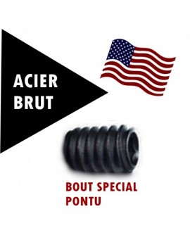 VIS AMERICAINE TH INOX A2