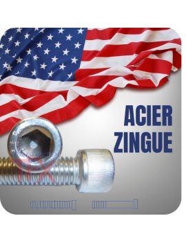 VIS AMERICAINE TH INOX A2