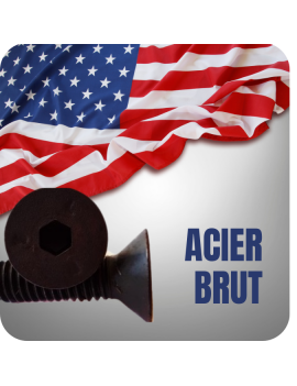 VIS AMERICAINE TH INOX A2