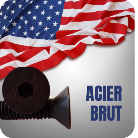 VIS AMERICAINE TH INOX A2