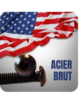 VIS AMERICAINE TH INOX A2