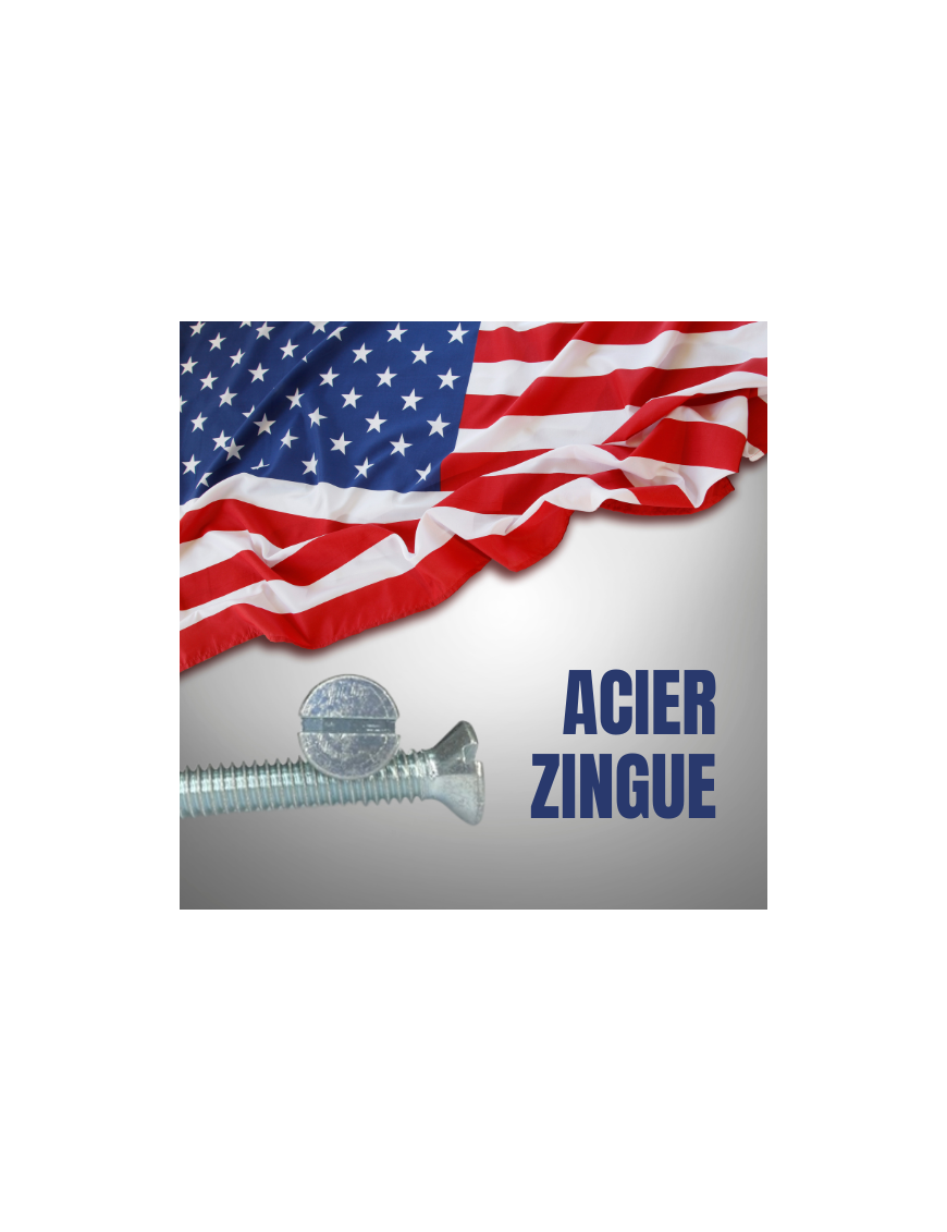 VIS AMERICAINE TH INOX A2