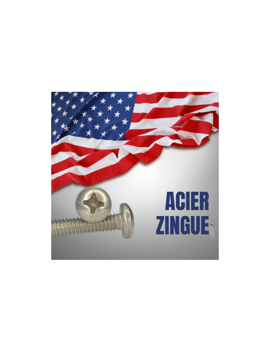 VIS AMERICAINE TH INOX A2