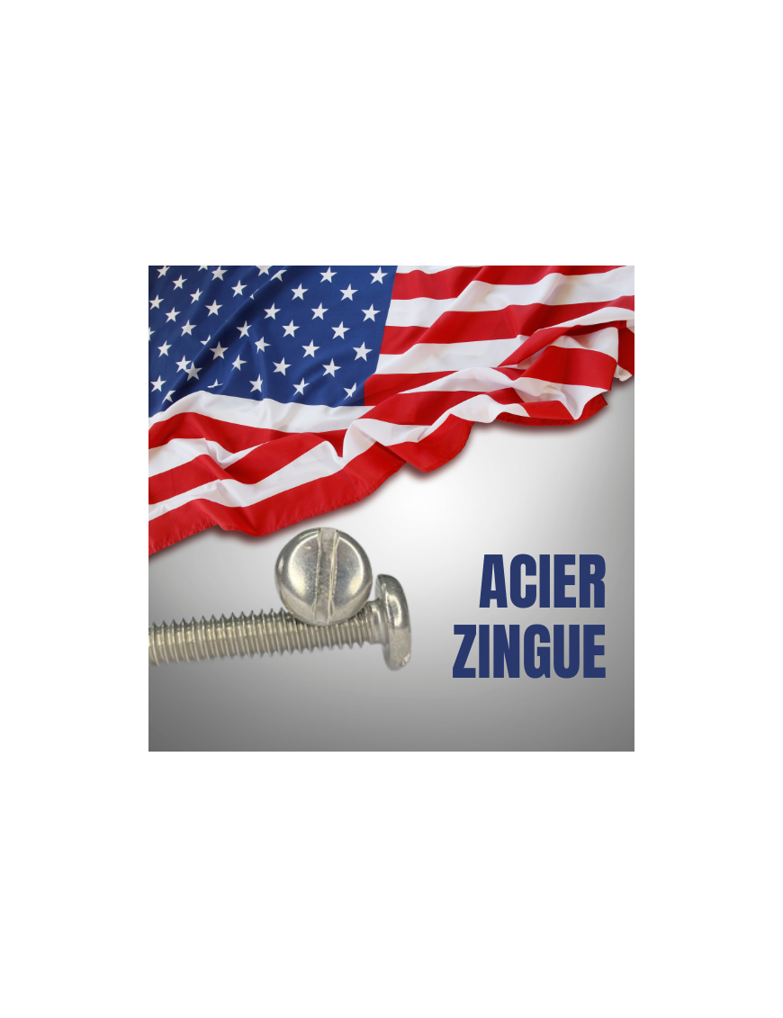 VIS AMERICAINE TH INOX A2