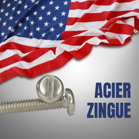 VIS AMERICAINE TH INOX A2