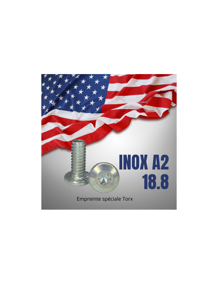 VIS-UNC-UNF-TCL-TORX-INOXA2-18.8