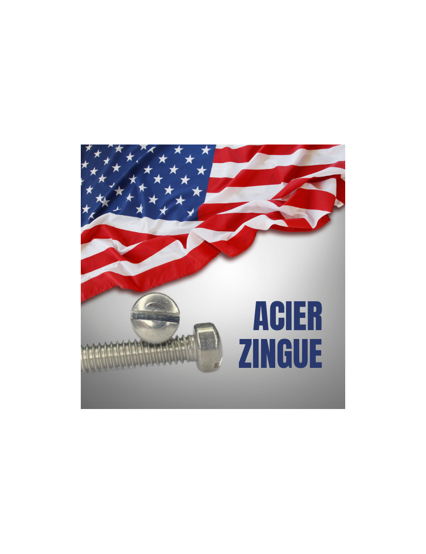 VIS AMERICAINE TH INOX A2