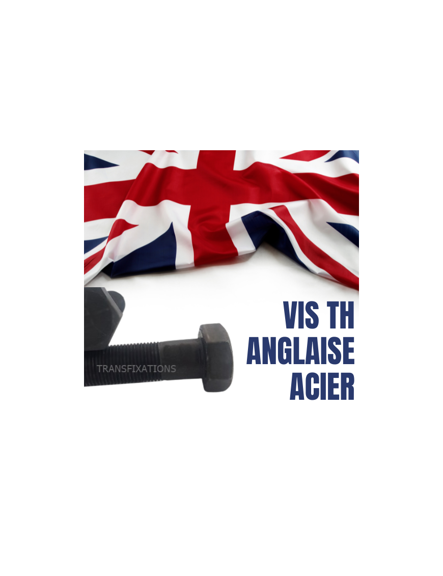 BOITE DE VIS ANGLAISES CHC/BTR, ACIER BRUT, VIS BSW/BSF