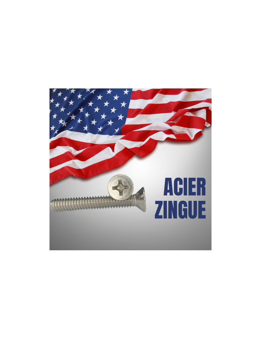 VIS AMERICAINE TF CRUCIFORME/PHILLIPS, ACIER ZINGUE BLANC
