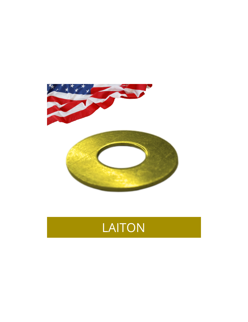 RONDELLE-AMERICAINE-PLATE-MOYENNE-LAITON