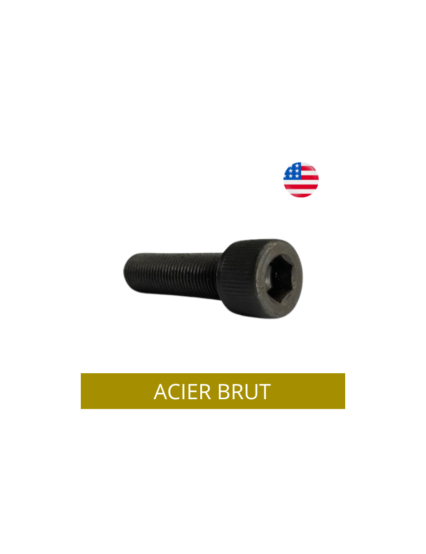 VIS AMERICAINE TH INOX A2