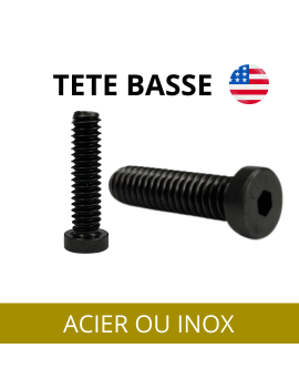 VIS-TETE-BASSE-UNC-UNF-CHC-VISAMERICAINE