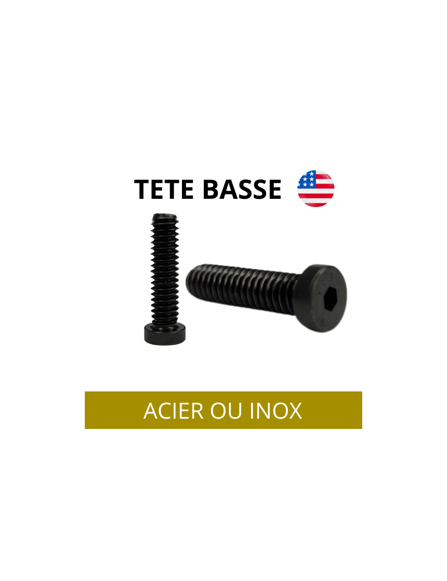 VIS-TETE-BASSE-UNC-UNF-CHC-VISAMERICAINE