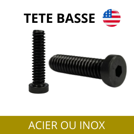 VIS-TETE-BASSE-UNC-UNF-CHC-VISAMERICAINE VIS-TETE-BASSE-UNC-UNF-CHC-VISAMERICAINE