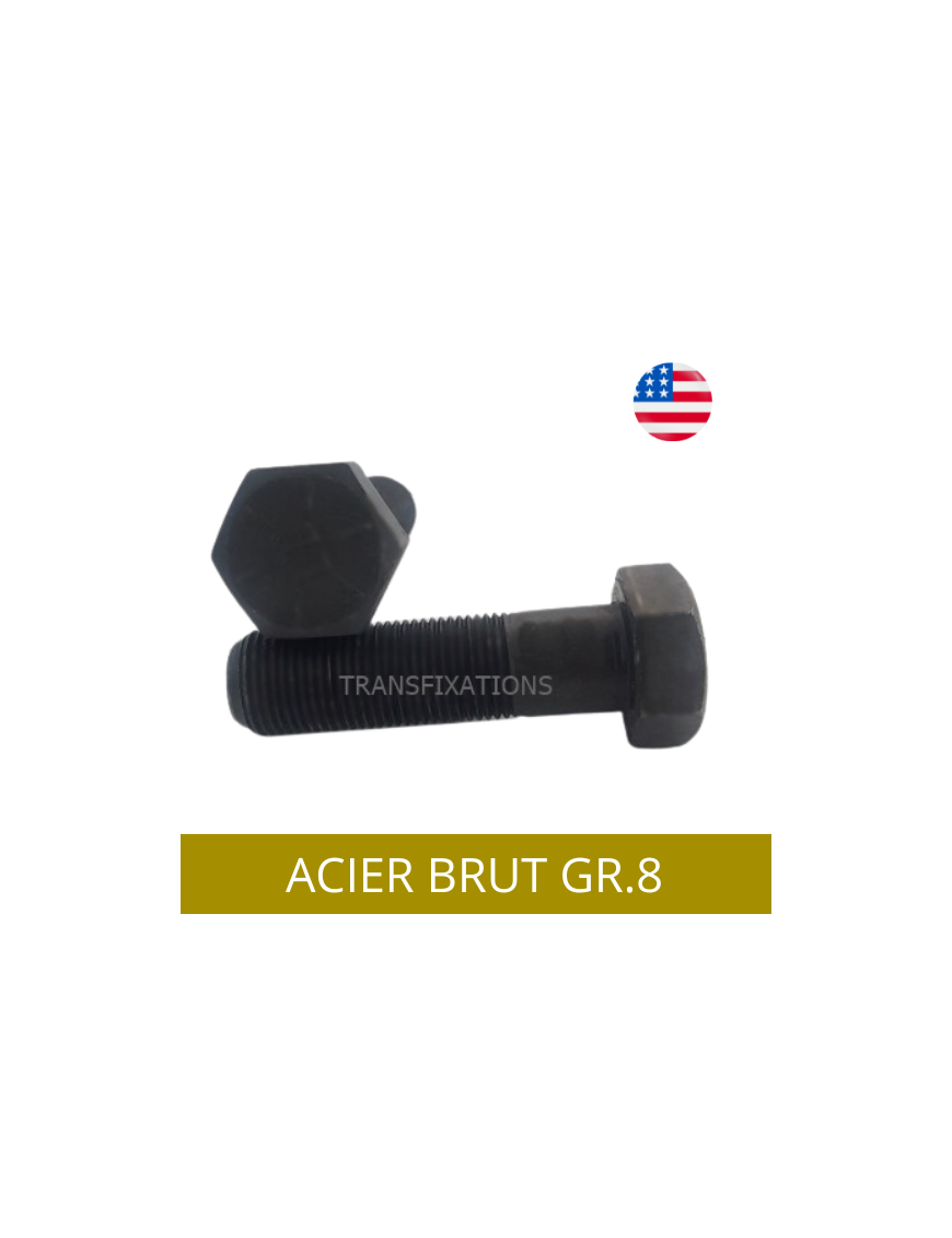 VIS AMERICAINE TH INOX A2