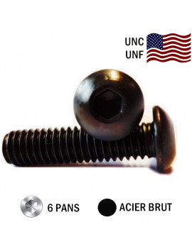 VIS AMERICAINE TH INOX A2