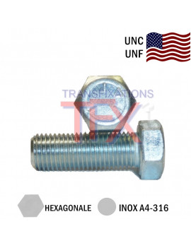 VIS AMERICAINE TH INOX A2