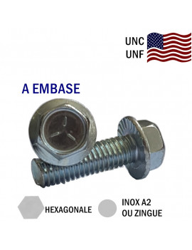 VIS AMERICAINE TH A EMBASE-UNC-UNF