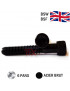 VIS-PAS-ANGLAIS-CHC-BTR-BSW-BSF-ACIER